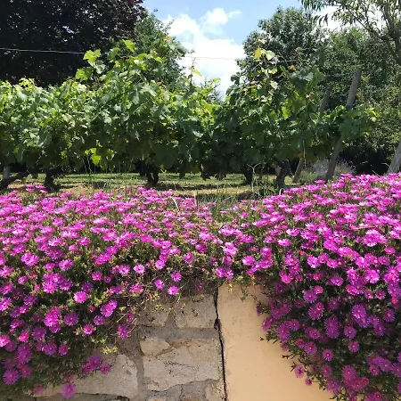 Villa Borie Grande
