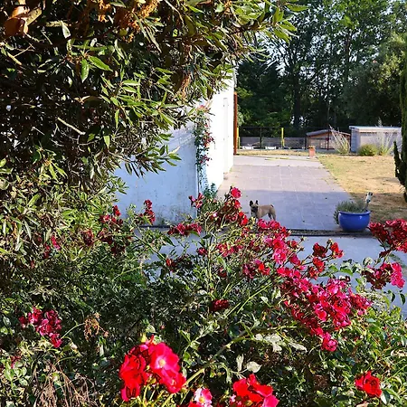 Borie Grande * Saint-Denis (Aude)